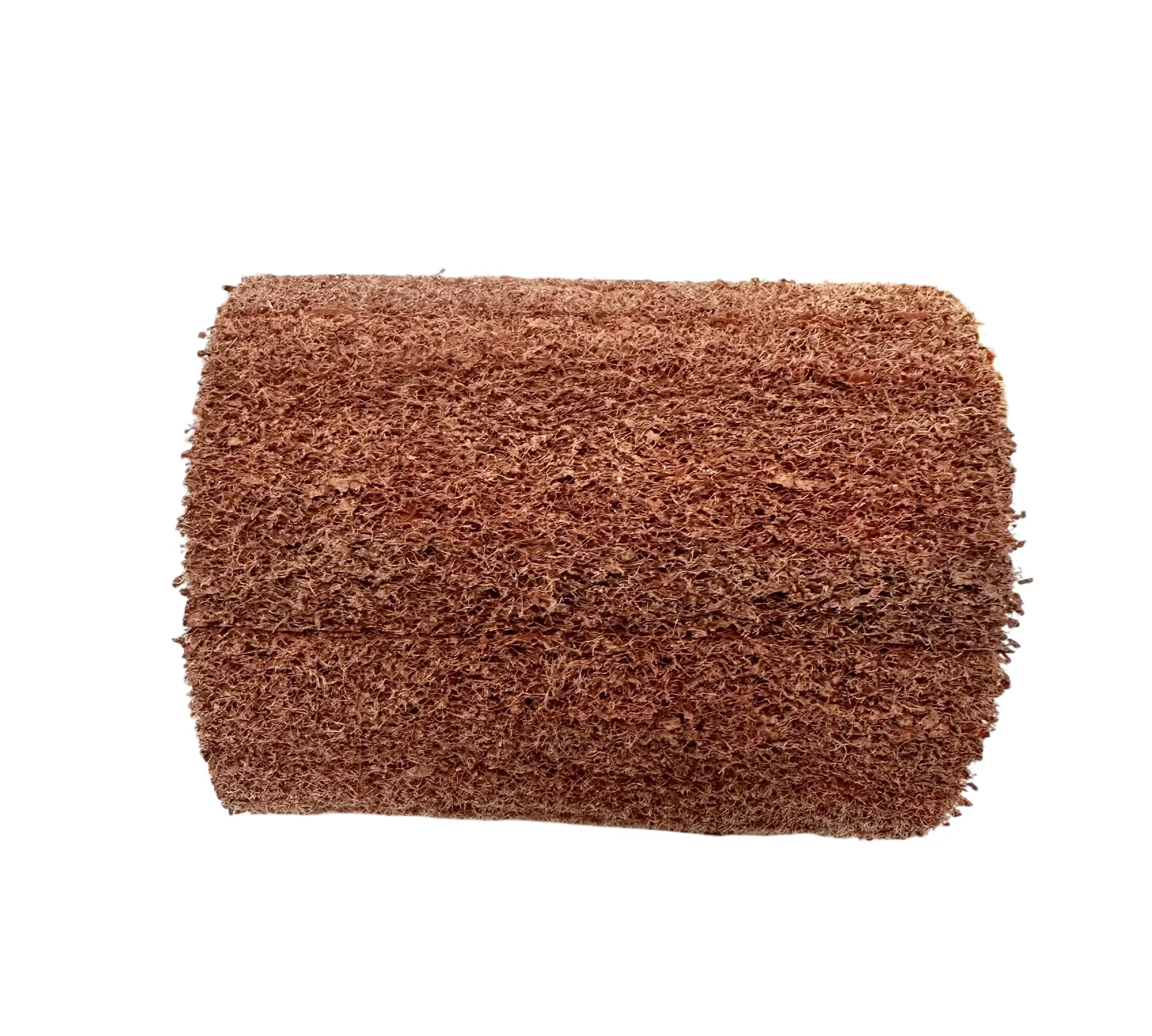 NON-WOVEN FLAP WHEEL for Surface Renovation Tool (PSR201BL) - Image 2